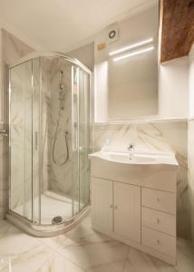 W łazience znajduje się prysznic i umywalka. w obiekcie Apartments close to Duomo we Florencji