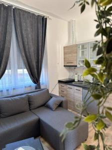 Una sala de estar con un sofá y una cocina. en Apartmani M.&.B Luks, en Mataruška Banja