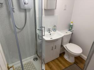 a bathroom with a shower and a toilet and a sink at The Vintage Inn in Wellington