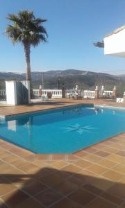 a swimming pool with a palm tree in the background at Kayenne holiday rentals in Iznájar