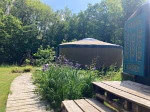 un jardin avec une tente et une passerelle en bois dans l'établissement Barefoot Yurts, à Brede