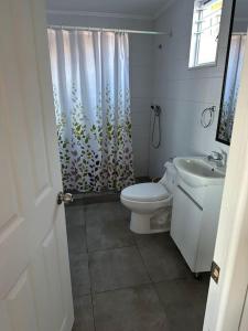 La salle de bains est pourvue de toilettes et d'un rideau de douche. dans l'établissement Cabaña de 2 habitaciones, à El Tabo