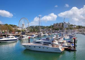 a group of boats docked in a harbor with a ferris wheel at Stylish Brixham home, sleeps 7, parking & garden in Brixham