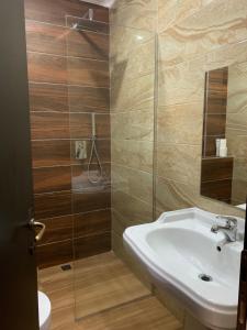 Hotel Dodona 욕실
