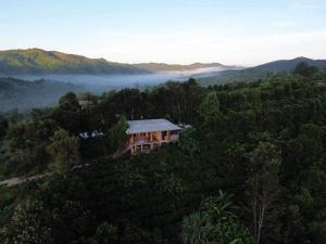 Vue aérienne d'une maison au milieu d'une forêt dans l'établissement Năm mùa Bungalows, à Hương Hóa