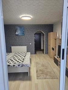 Cette petite chambre dispose d'un lit et d'un couloir. dans l'établissement Garsoniera Dary strada Mihai Bravu bloc G1 Vis a Vis de ROYAL PALACE, à Turnu Măgurele