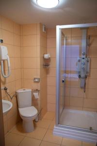 a bathroom with a toilet and a shower at Ośrodek Wypoczynkowy Wielki Błękit in Łukęcin