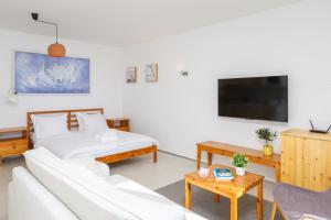 TV a/nebo společenská místnost v ubytování Villa Jolara With Heated Pool - Deluxe Apartment 9