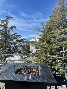 a bunch of animals are in a fire pit at Maribel Confort in Sierra Nevada