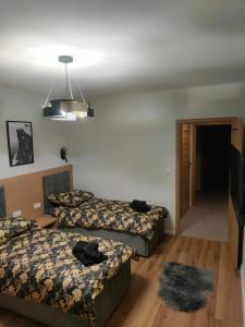 Ένα ή περισσότερα κρεβάτια σε δωμάτιο στο Apartamenty Zorza