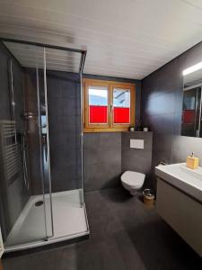 a bathroom with a shower and a toilet and a sink at Family-friendly apartment with Alpine view in Matten