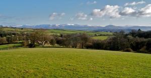 a green field with trees and mountains in the background at Cefnmachllys Shepherds Huts in Brecon
