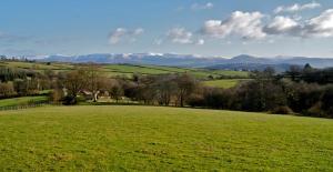 un champ verdoyant avec des arbres et des montagnes en arrière-plan dans l'établissement Cefnmachllys Shepherds Huts, à Brecon