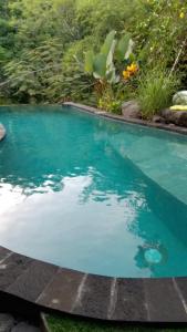 Bazén v ubytování Les Garden villa nebo v jeho okolí