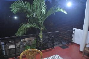 a palm tree on a balcony at night at Sea Breeze Inn Talalla in Talalla