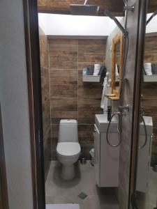 un piccolo bagno con servizi igienici e lavandino di Майоровата къща a Shiroka Laka