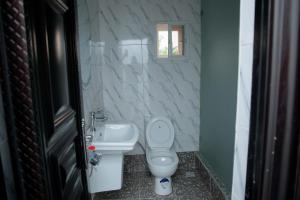 a small bathroom with a toilet and a sink at Cogent Apartments Single Rooms in Uyo