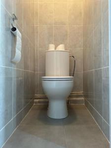 a bathroom with a toilet with three rolls of toilet paper at Très grand studio à deux pas de la place de Jaude Puits Artesien in Clermont-Ferrand