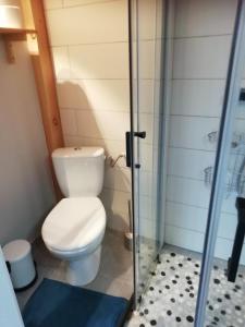 een badkamer met een toilet en een glazen douche bij Les Glycines de Soubize in Lablachère