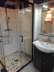 een badkamer met een douche en een wastafel bij Les Glycines de Soubize in Lablachère