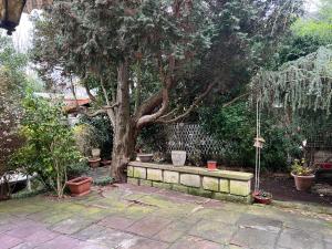 een boom in een tuin met een stenen bank eronder bij Charmant Cocon en duplex avec jardin in Noisy-le-Sec
