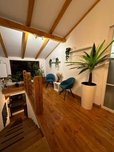 a living room with a staircase and a potted plant at Attic 33 in Câmpulung Moldovenesc