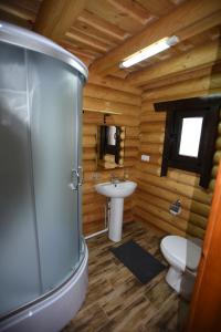ベレホヴェにあるСадиба Арсентійのバスルーム(シャワー、洗面台、トイレ付)