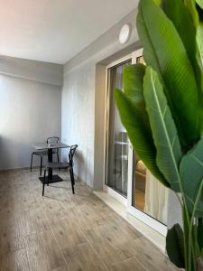 Fotografie z fotogalerie ubytování L’Hotel Tirana v destinaci Tirana