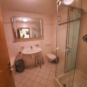 a bathroom with a sink and a toilet and a shower at Ferienwohnung Leni in Sonthofen