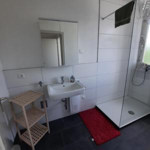 a small bathroom with a sink and a shower at Allgäu Auszeit in Sonthofen