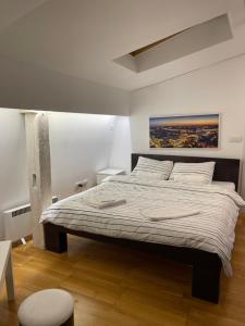 1 dormitorio con 1 cama grande en una habitación en Double bedroom apartment in Belgrade en Belgrado