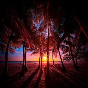 um grupo de palmeiras numa praia ao pôr do sol em Casa Qi Boho B&B em Cabuya