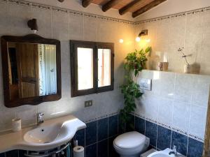 un bagno con lavandino, water e specchio di Farmhouse with pool in the Chianti a Montefiridolfi Altre 26 foto