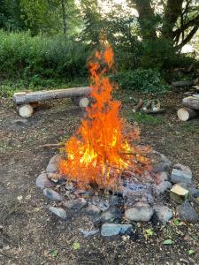 Galeriebild der Unterkunft Ferienhaus "BASTEK1" am See mit Kamin & WLAN - Domek Letniskowy BASTEK in Pasym