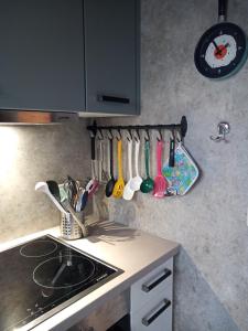 a kitchen counter with utensils hanging on a wall at Ferienhaus Winnetou Im Abendrot 124 in Waldbrunn