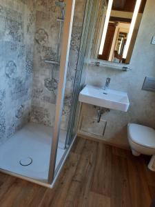 een badkamer met een douche, een wastafel en een toilet bij Ferienhaus Winnetou Sonnenkreisel 145 in Waldbrunn