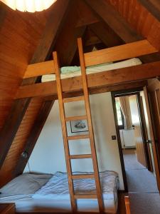 een stapelbed met een ladder in een kamer bij Ferienhaus Winnetou Sonnenkreisel 145 in Waldbrunn