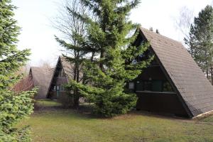 une maison avec un arbre en face dans l'établissement Ferienhaus Winnetou Am Fuchsbau 67, à Waldbrunn