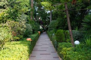 Ein Garten an der Unterkunft Dionysos Hotel