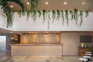 a lobby with plants hanging from the ceiling at Wyndham Santa Marta Aluna Beach in Santa Marta