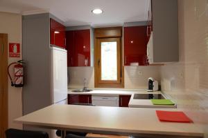 Kuchyň nebo kuchyňský kout v ubytování Apartamentos el Rincon de Limes
