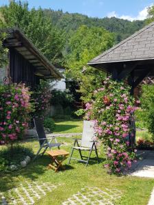 a garden with a bench and a bush with pink flowers at Apartments Gregorc in Bled