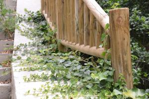 Zahrada ubytování Apartamentos el Rincon de Limes