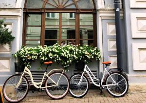 St. Palace Hotel — Two white cruisers parked outside a blue building with a large white flower box and arched window with green shutters