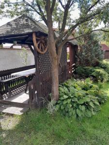Un jardín fuera de Apartamente Ambrus Praid