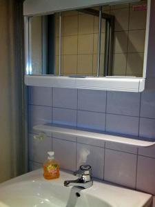 La salle de bains est pourvue d'un lavabo avec miroir et d'une bouteille de savon. dans l'établissement Ferienwohnung Thomsen, à Taarstedt