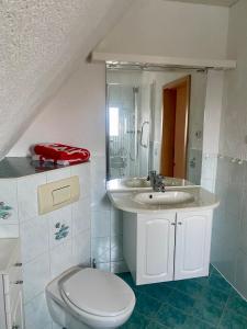 un baño con inodoro y lavabo en Ferienhaus Rudi, en Nordhausen 4 fotos más
