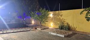 Una pared con dos árboles en un patio por la noche en Casa para Carnaval coruripe c/ piscina perto da praia en Coruripe