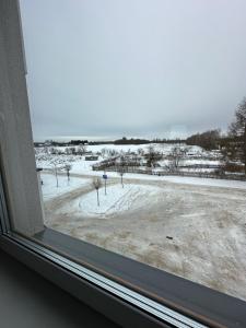 a window with a view of a snow covered field at Apartament Szczytno Zielona in Szczytno