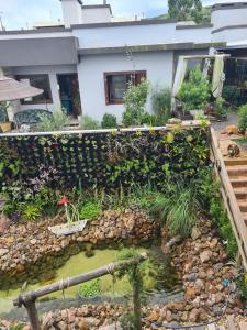 Um jardim em Refúgio dos Coiotes